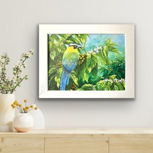 8x10" Colombia Cafe Quindio Art Print (w/mat): Andean Motmot (Barranquero)- HOME
